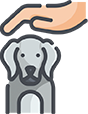 Drop-In Visits