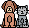 Pet Boarding