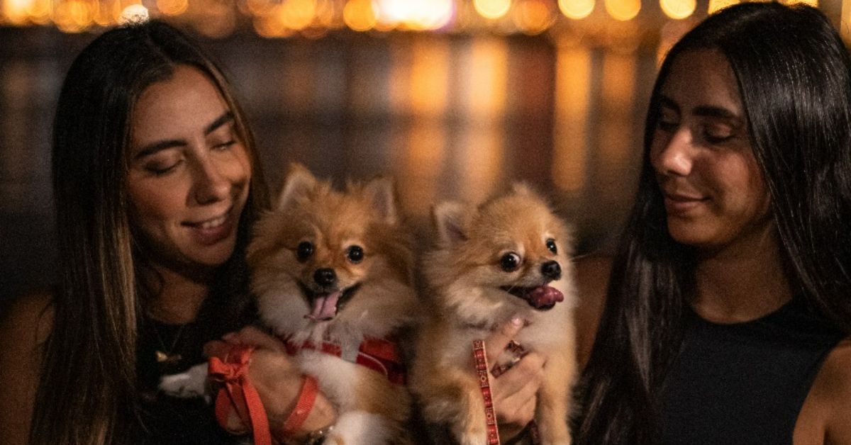 How personalized care leads to healthier and happier pets How personalized care leads to healthier and happier pets