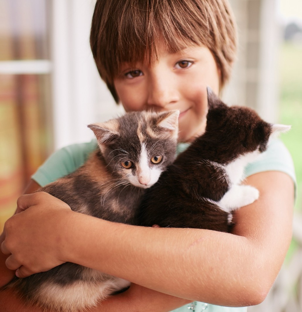 Back-to-School Season: Helping Pets Adjust When Kids Aren’t Home